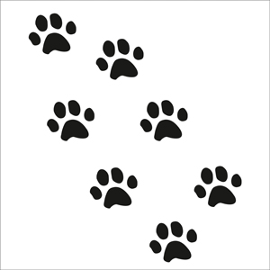 Kattepoter til bil i sort design, passer til alle biler